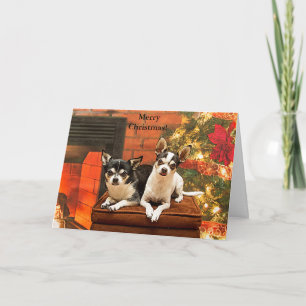 Cartes Pour Fêtes Annuelles Noël Chihuahua