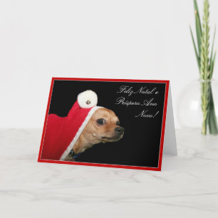 Cartes Pour Fêtes Annuelles Noël Chihuahua