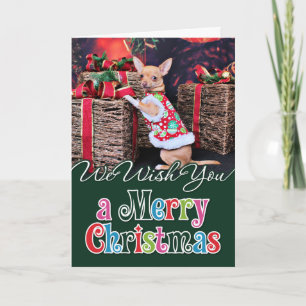 Cartes Pour Fêtes Annuelles Noël - Chihuahua - Matty