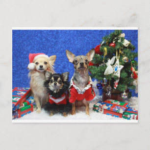 Cartes Pour Fêtes Annuelles Noël Chihuahuas
