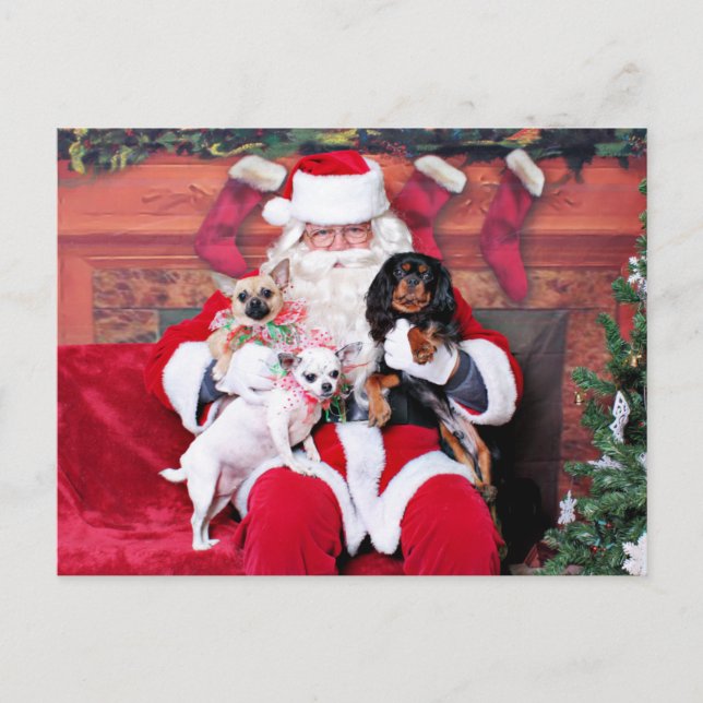 Cartes Pour Fêtes Annuelles Noël - Chihuahuas et Cavalier (Devant)
