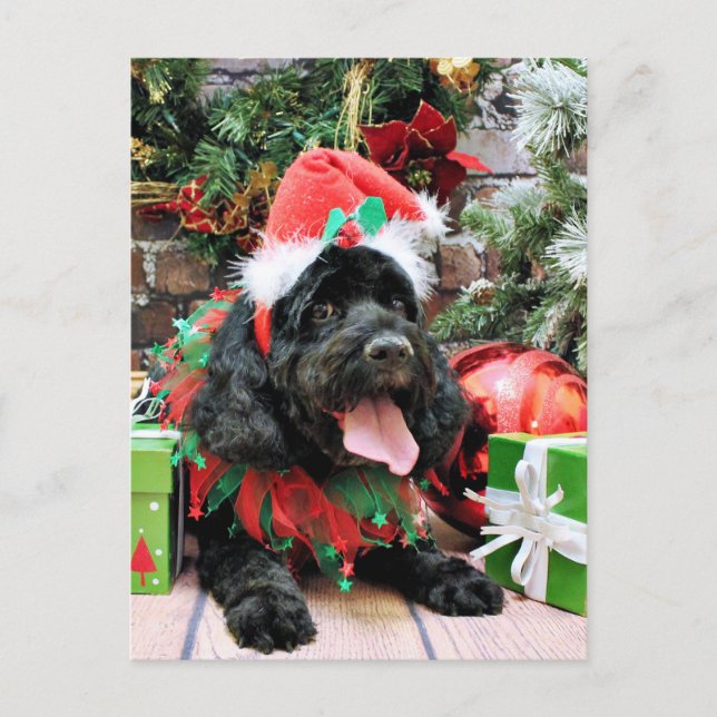 Cartes Pour Fêtes Annuelles Noël - Cockapoo - Jack (Devant)