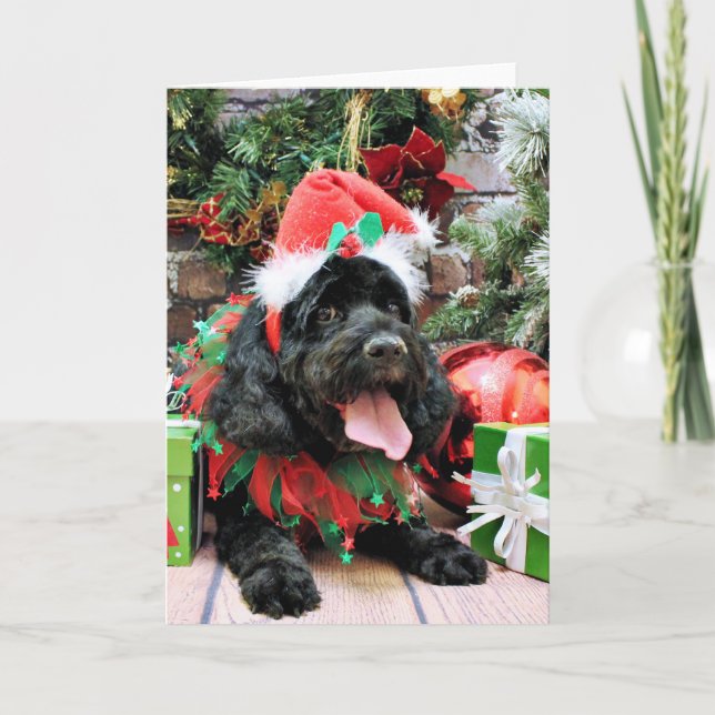 Cartes Pour Fêtes Annuelles Noël - Cockapoo - Jack (Devant)