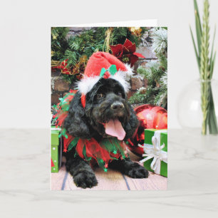 Cartes Pour Fêtes Annuelles Noël - Cockapoo - Jack