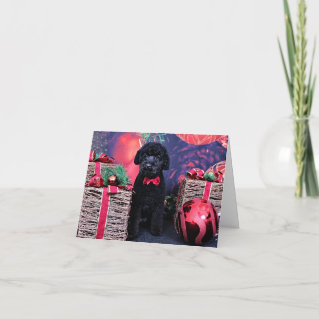 Cartes Pour Fêtes Annuelles Noël - Cockapoo - Max (Devant)