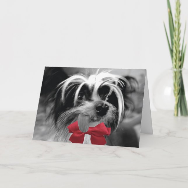 Cartes Pour Fêtes Annuelles Noël Crested (JE) (Devant)