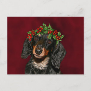 Cartes Pour Fêtes Annuelles Noël Dachshund