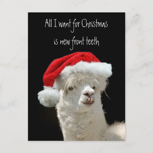 Cartes Pour Fêtes Annuelles Noël d'Alpaca (Devant)