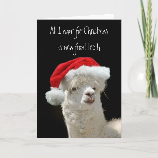 Cartes Pour Fêtes Annuelles Noël d'alpaga (Devant)