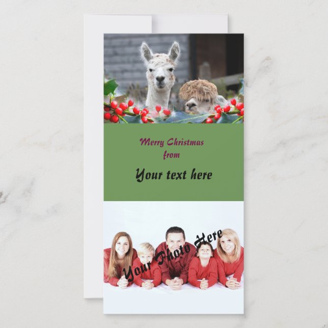 Cartes Pour Fêtes Annuelles Noël d'alpaga (Devant)