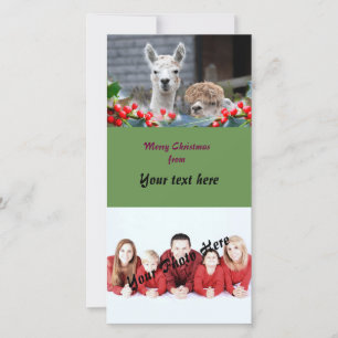 Cartes Pour Fêtes Annuelles Noël d'alpaga