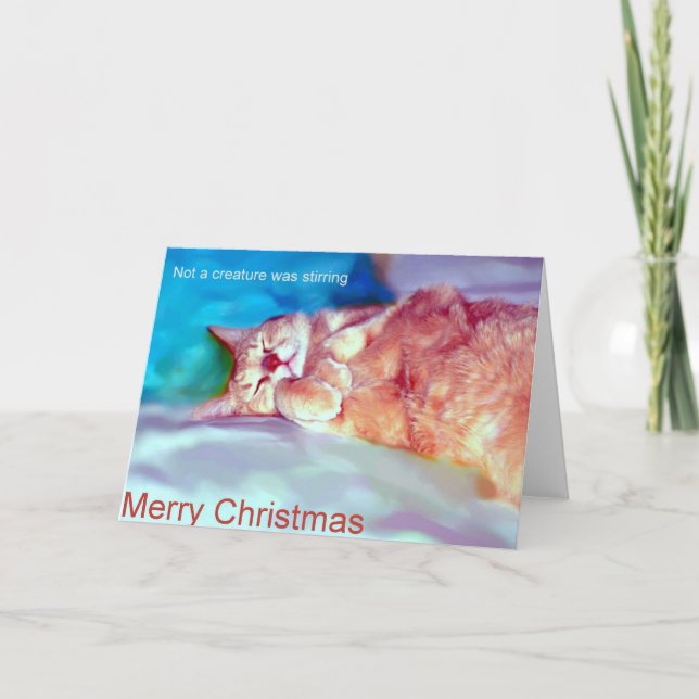 Cartes Pour Fêtes Annuelles Noël de attente (Devant)