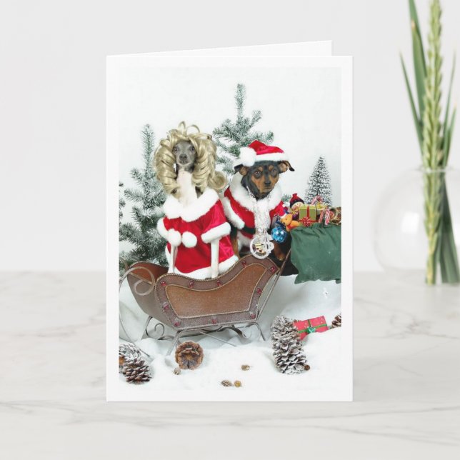 Cartes Pour Fêtes Annuelles Noël de Blingy (Devant)