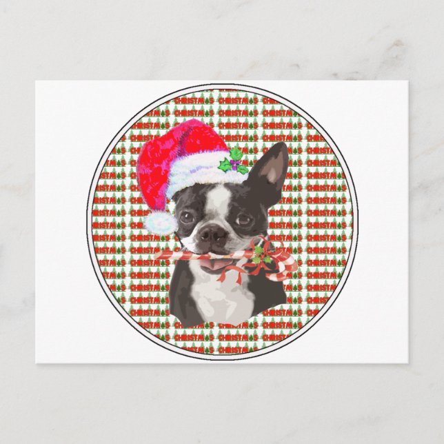 Cartes Pour Fêtes Annuelles Noël de Boston Terrier (Devant)