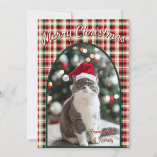Cartes Pour Fêtes Annuelles Noël de chat personnalisé