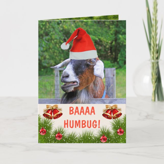 Cartes Pour Fêtes Annuelles Noël de chèvre grincheuse (Devant)