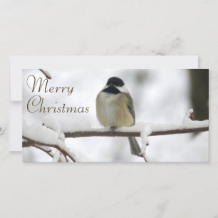 Cartes Pour Fêtes Annuelles Noël de Chickadee