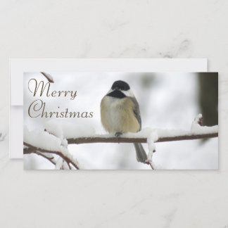 Cartes Pour Fêtes Annuelles Noël de Chickadee