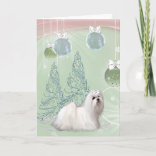 Cartes Pour Fêtes Annuelles Noël de Chien Chien Chien Chien Maltais
