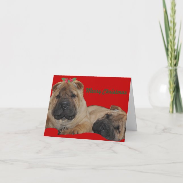 Cartes Pour Fêtes Annuelles Noël de chiot de houx de Shar Pei (Devant)