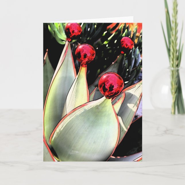 Cartes Pour Fêtes Annuelles Noël de Coral aloe (Devant)