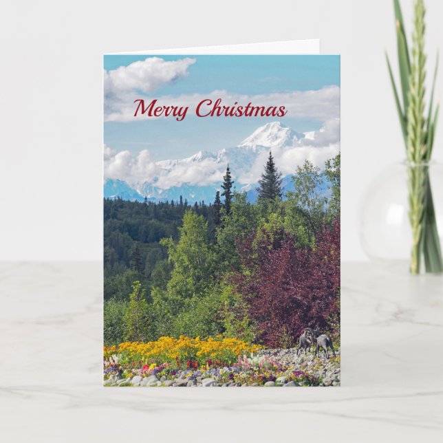 Cartes Pour Fêtes Annuelles Noël de Denali 97 (Devant)