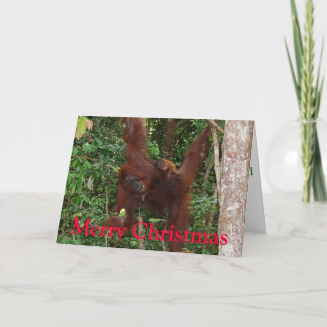 Cartes Pour Fêtes Annuelles Noël de faune (Devant)