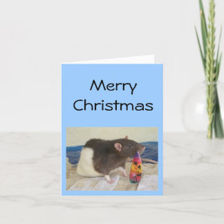 Cartes Pour Fêtes Annuelles Noël de JJ