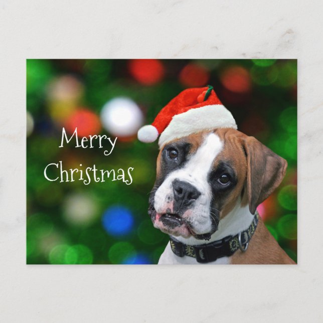 Cartes Pour Fêtes Annuelles Noël de la boîte (Devant)
