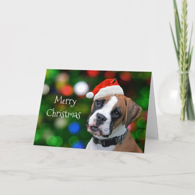 Cartes Pour Fêtes Annuelles Noël de la boîte (Devant)