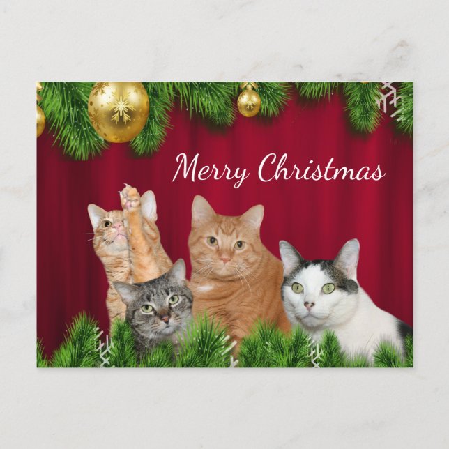 Cartes Pour Fêtes Annuelles Noël de la famille des chats (Devant)