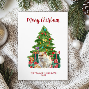 Cartes Pour Fêtes Annuelles Noël de la famille des chats perses