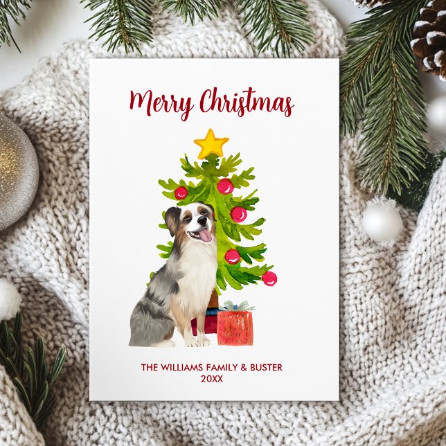 Cartes Pour Fêtes Annuelles Noël de la famille des chiens bergers australiens (Créateur téléchargé)