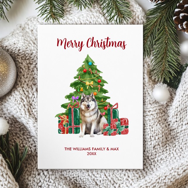 Cartes Pour Fêtes Annuelles Noël de la famille des chiens malamés (Créateur téléchargé)