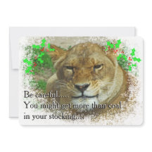 Noël de la lionne