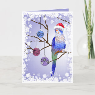 Cartes Pour Fêtes Annuelles Noël de la perruche