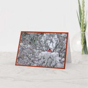 Cartes Pour Fêtes Annuelles Noël de la photo cardinale Redbird