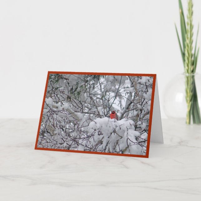 Cartes Pour Fêtes Annuelles Noël de la photo cardinale Redbird (Devant)