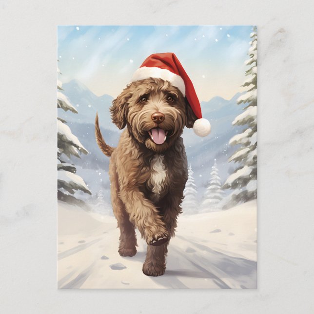 Cartes Pour Fêtes Annuelles Noël de Lagotto Romagnolo (Devant)