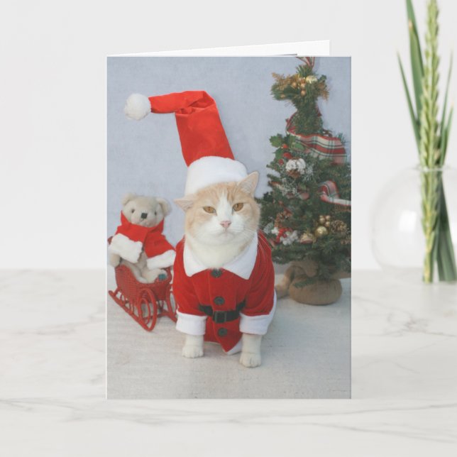 Cartes Pour Fêtes Annuelles Noël de MEOWry ! (Devant)