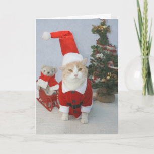 Cartes Pour Fêtes Annuelles Noël de MEOWry !