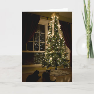 Cartes Pour Fêtes Annuelles Noël de Meowy