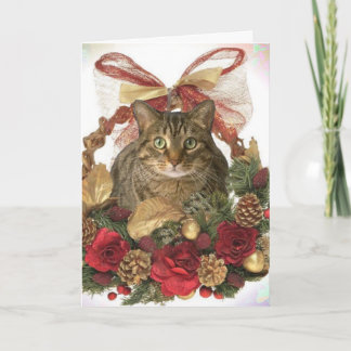 Cartes Pour Fêtes Annuelles Noël de Meowy !