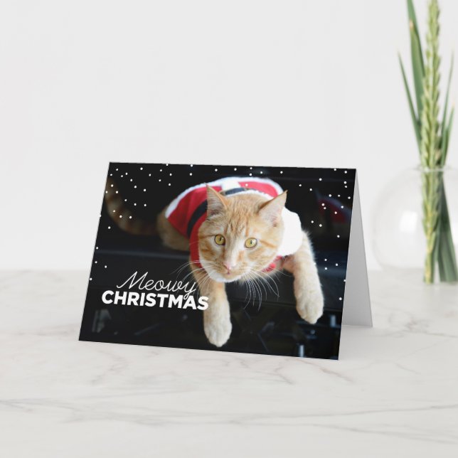 Cartes Pour Fêtes Annuelles Noël de Meowy (Devant)