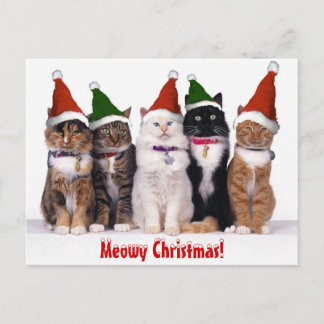 Cartes Pour Fêtes Annuelles "Noël de Meowy !" Chats