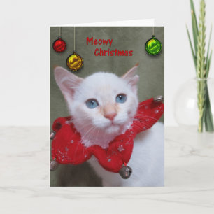 Cartes Pour Fêtes Annuelles Noël de Meowy - point de flamme siamois