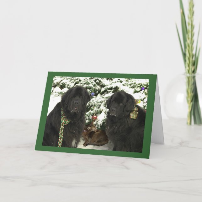 Cartes Pour Fêtes Annuelles Noël de Newfie (Devant)