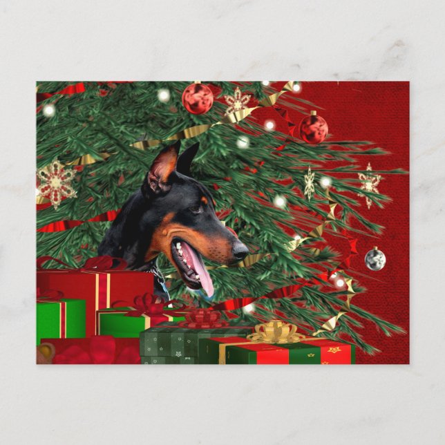 Cartes Pour Fêtes Annuelles Noël de pinscher de dobermann (Devant)