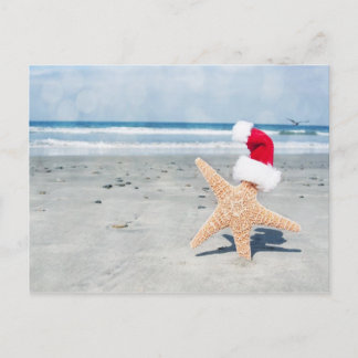 Cartes Pour Fêtes Annuelles Noël de plage d'étoiles de mer