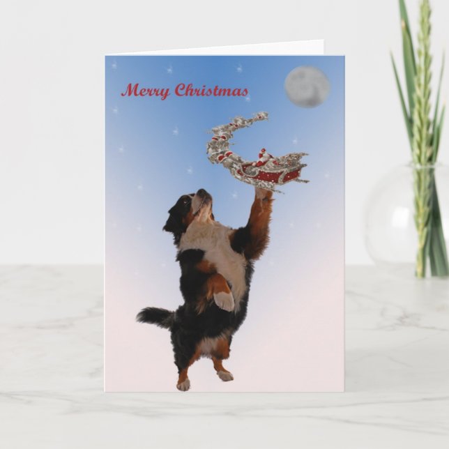 Cartes Pour Fêtes Annuelles Noël de réunion de Bernese (Devant)